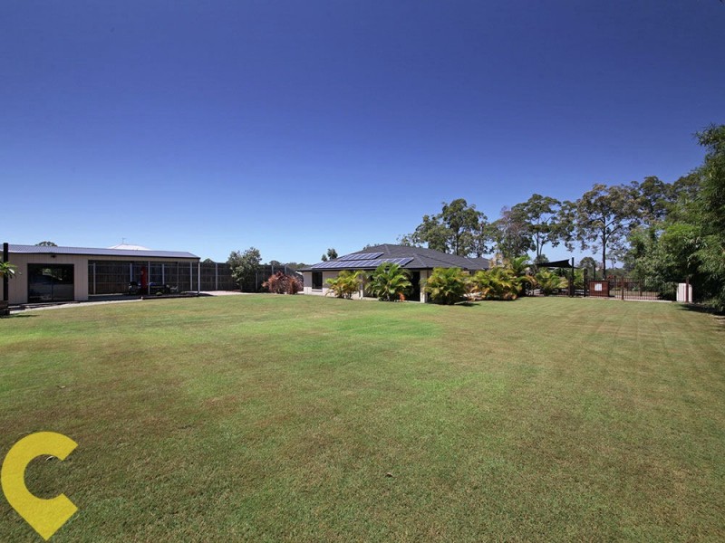 16 Hirst Court, Ningi QLD 4511