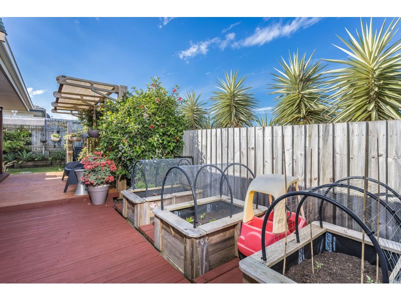 57 Cowen Terrace, North Lakes QLD 4509