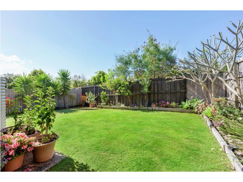 49 Menara Circuit, North Lakes QLD 4509