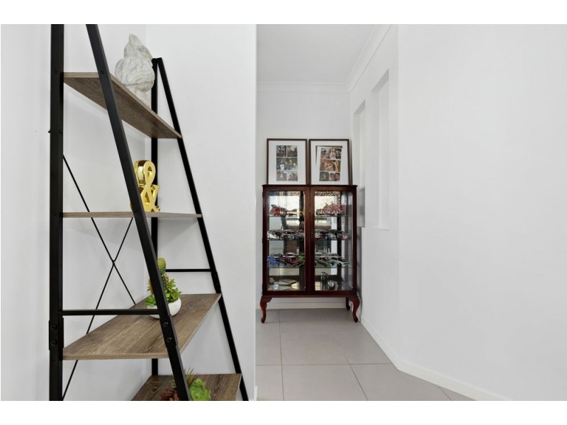 11 Dandelion Street, Griffin QLD 4503