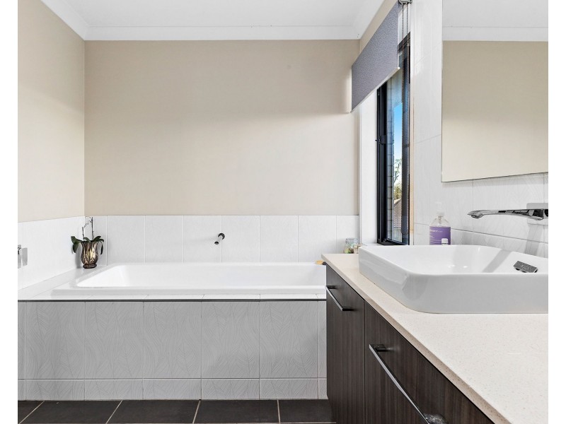 19 Pademelon Circuit, North Lakes QLD 4509