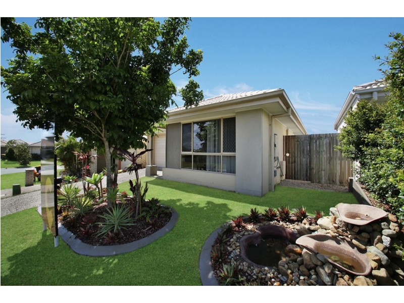 3 Daintree Circuit, North Lakes QLD 4509