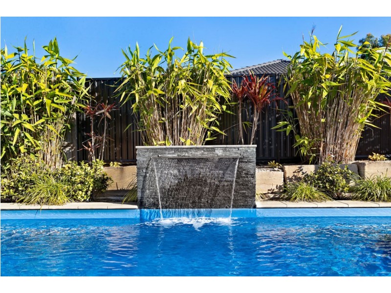 17 Edmund Circuit, North Lakes QLD 4509