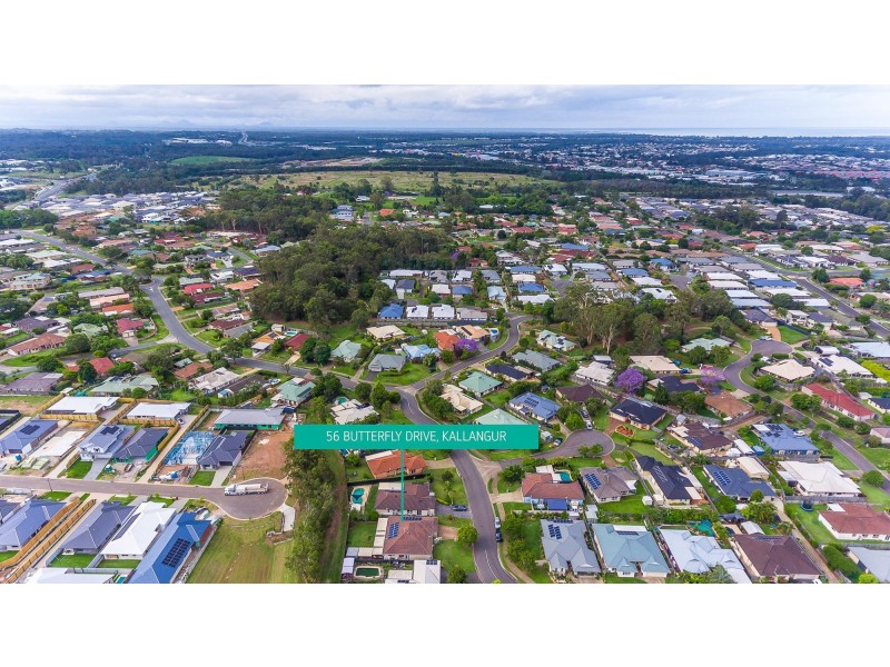 56 Butterfly Drive, Kallangur QLD 4503