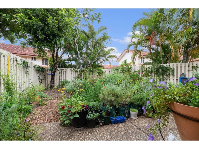 5/25 Holmes Street, Brighton QLD 4017