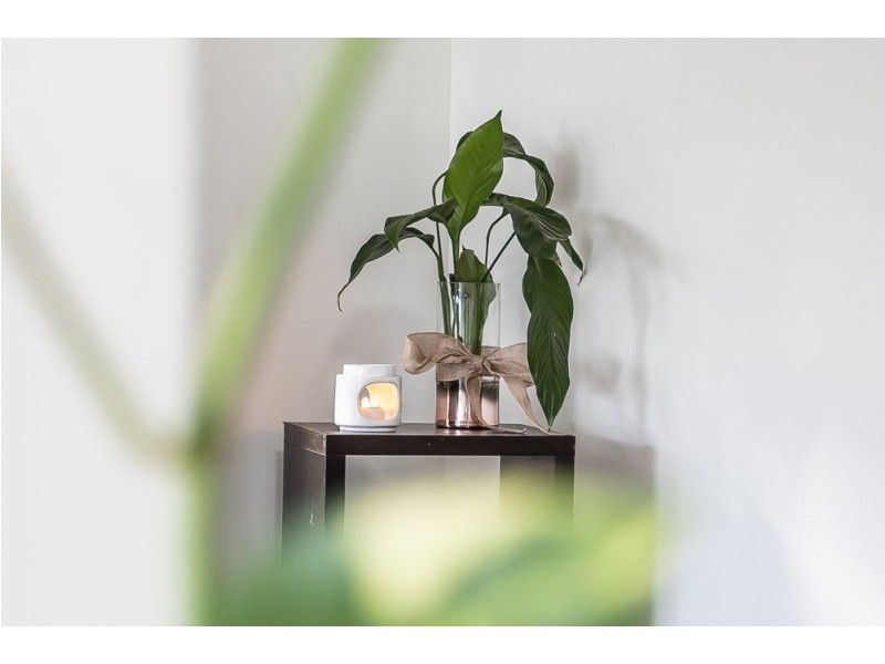 20 Crest Street, Kallangur QLD 4503