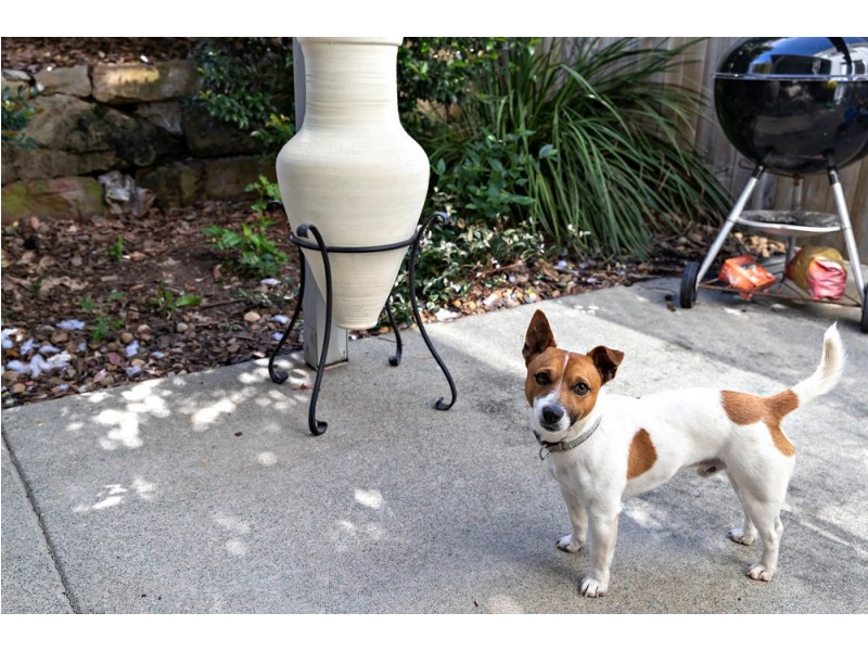 109/108 Alma Road, Dakabin QLD 4503