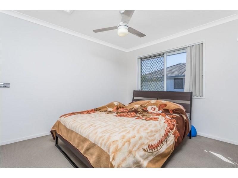 141/6 White Ibis Drive, Griffin QLD 4503