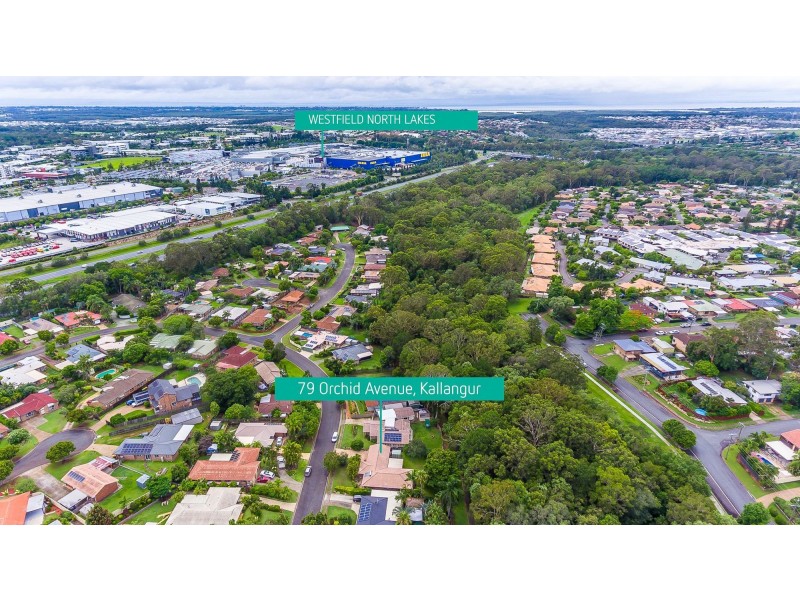 79 Orchid Avenue, Kallangur QLD 4503