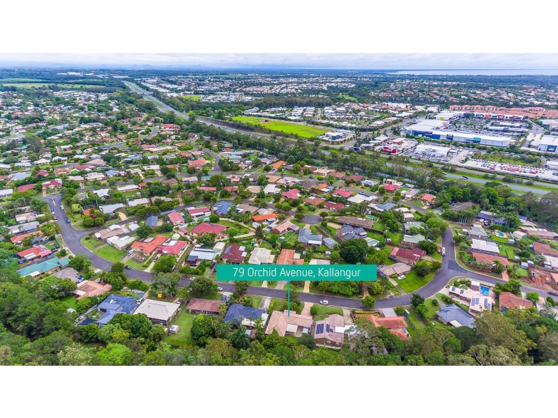 79 Orchid Avenue, Kallangur QLD 4503