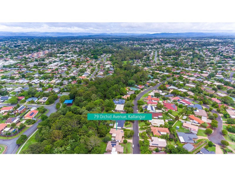 79 Orchid Avenue, Kallangur QLD 4503
