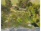 31 McGahey Street, Rothwell QLD 4022