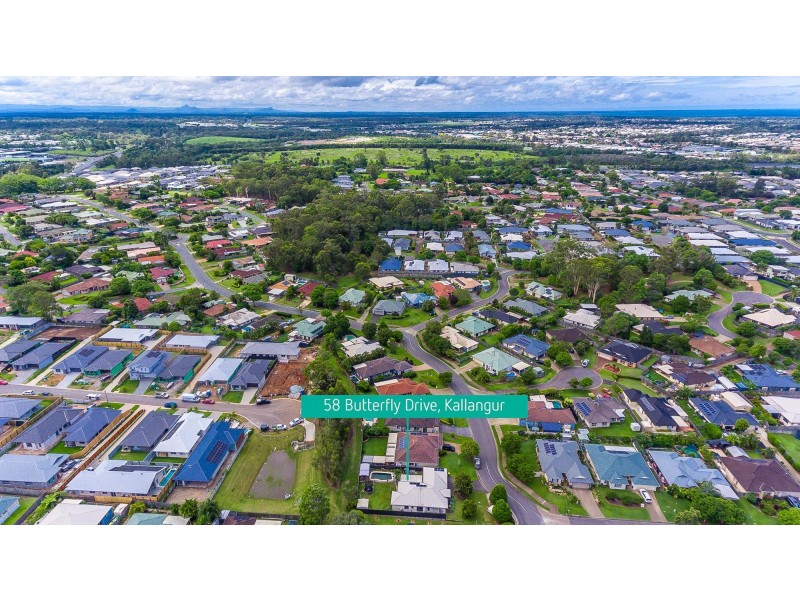 58 Butterfly Drive, Kallangur QLD 4503