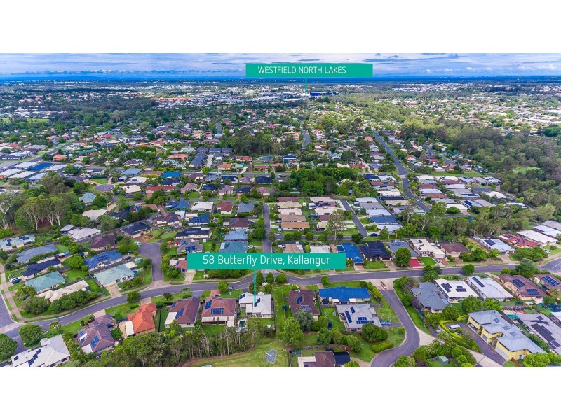 58 Butterfly Drive, Kallangur QLD 4503