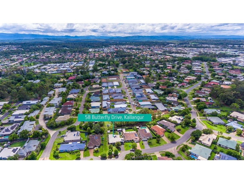 58 Butterfly Drive, Kallangur QLD 4503