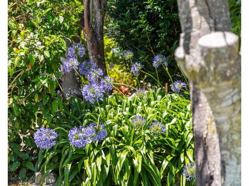 5 Freeman Street, Redcliffe QLD 4020