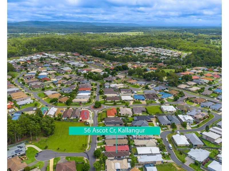 56 Ascot Crescent, Kallangur QLD 4503