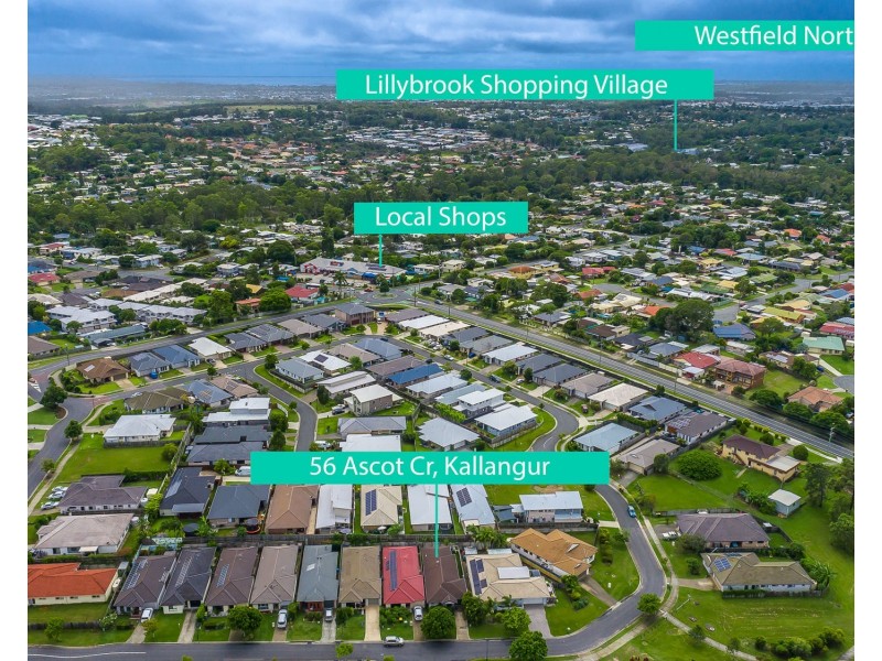 56 Ascot Crescent, Kallangur QLD 4503