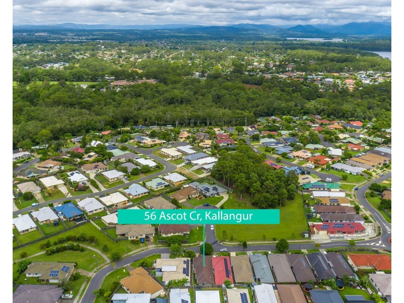 56 Ascot Crescent, Kallangur QLD 4503