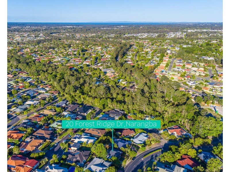 20 Forest Ridge Drive, Narangba QLD 4504