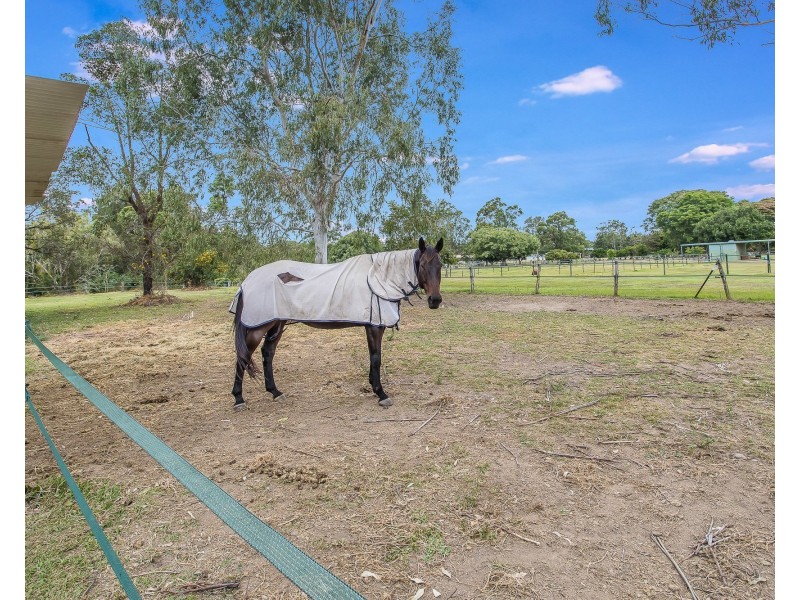 136 Mathew Crescent, Burpengary QLD 4505