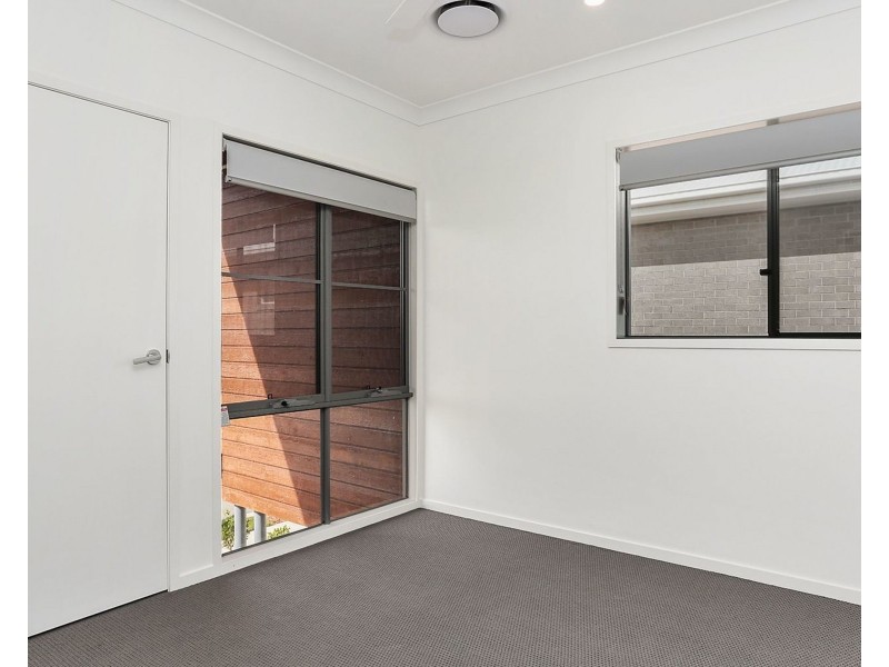 15 Apollo Street, Newport QLD 4020
