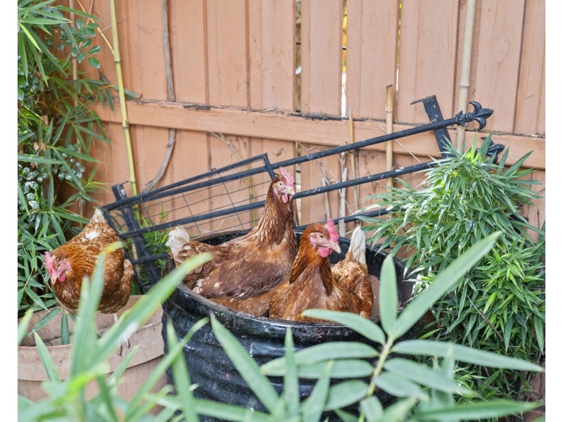 7 Hawkhurst Court, Murrumba Downs QLD 4503