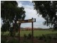 29 Greene Street, Rothwell QLD 4022