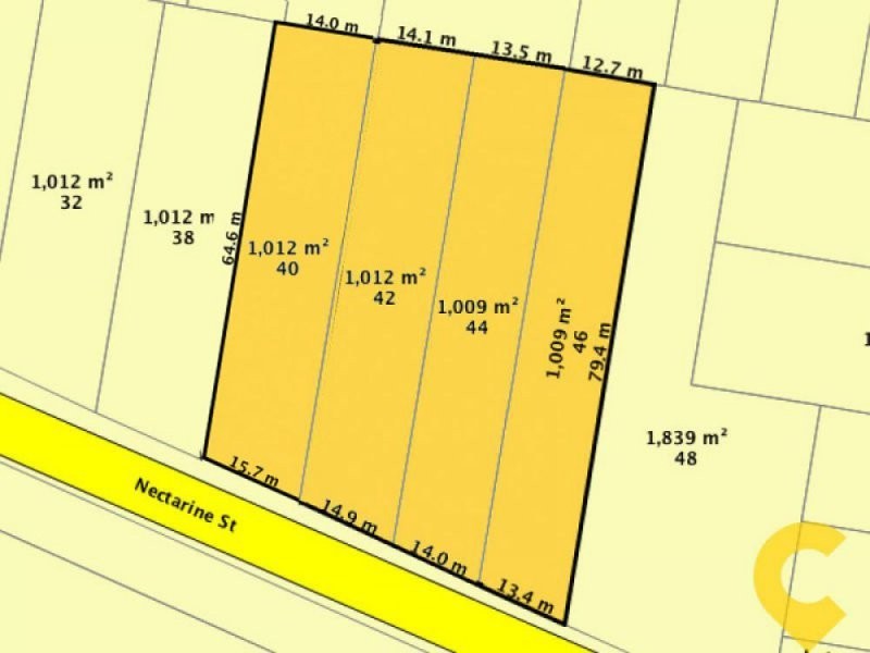 46 Nectarine Street, Runcorn QLD 4113