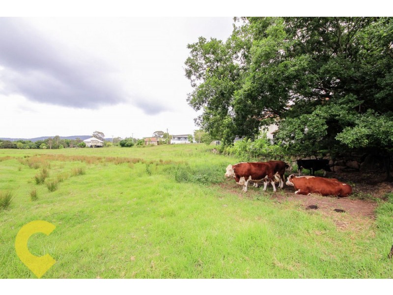 12 Venning Street, Everton Park QLD 4053