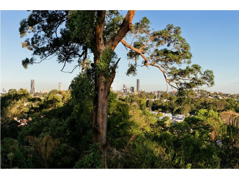 80 Willmington Street, Newmarket QLD 4051