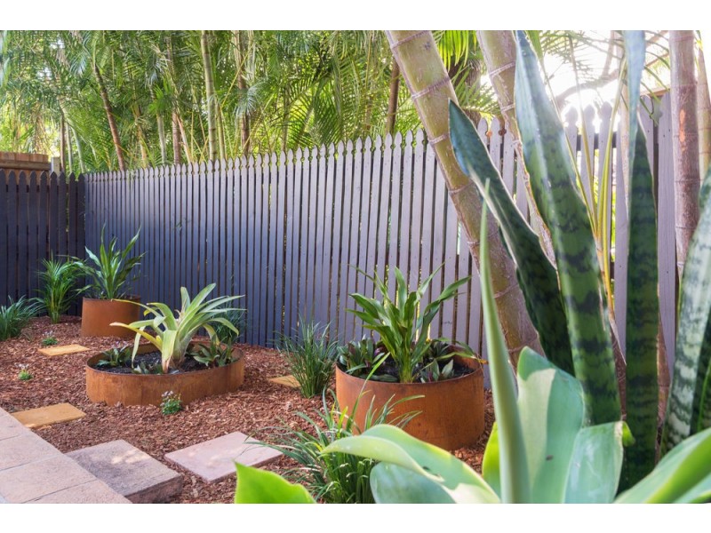 1/100 Bayview Terrace, Clayfield QLD 4011