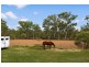 57 Whittington Road, Moodlu QLD 4510