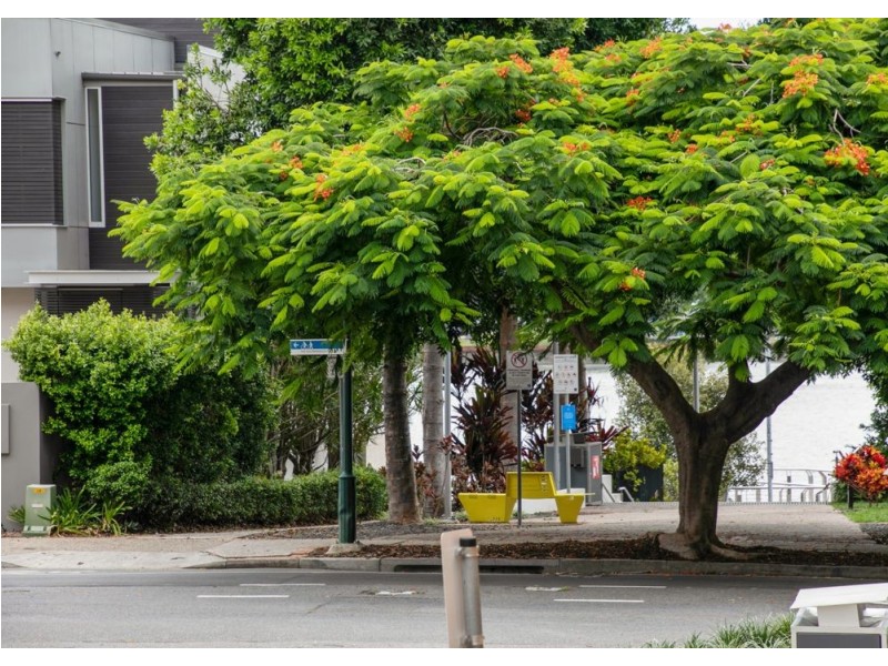 111/24 Macquarie Street, Teneriffe QLD 4005