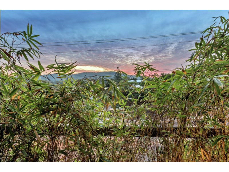 310 Banks Street, Ashgrove QLD 4060