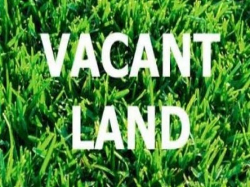 43 Pine Street, Hamilton QLD 4007