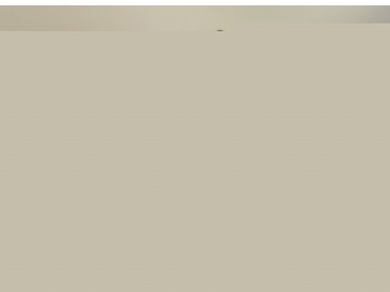 81 Collins Street, Collingwood Park QLD 4301