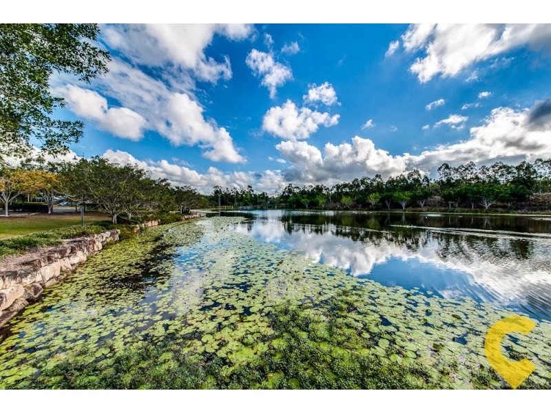 238 Grande Avenue, Springfield Lakes QLD 4300