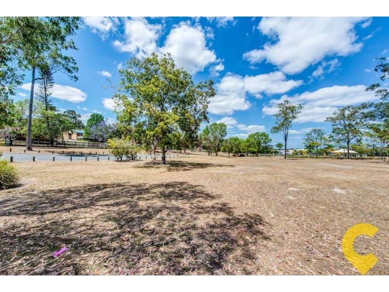 19 Parkland Avenue, Browns Plains QLD 4118