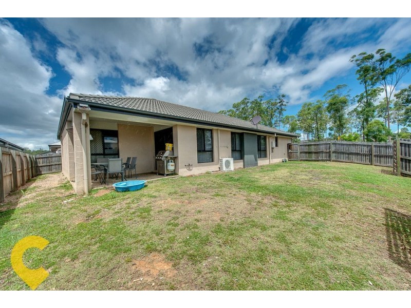 34 Park Edge Drive, Springfield Lakes QLD 4300
