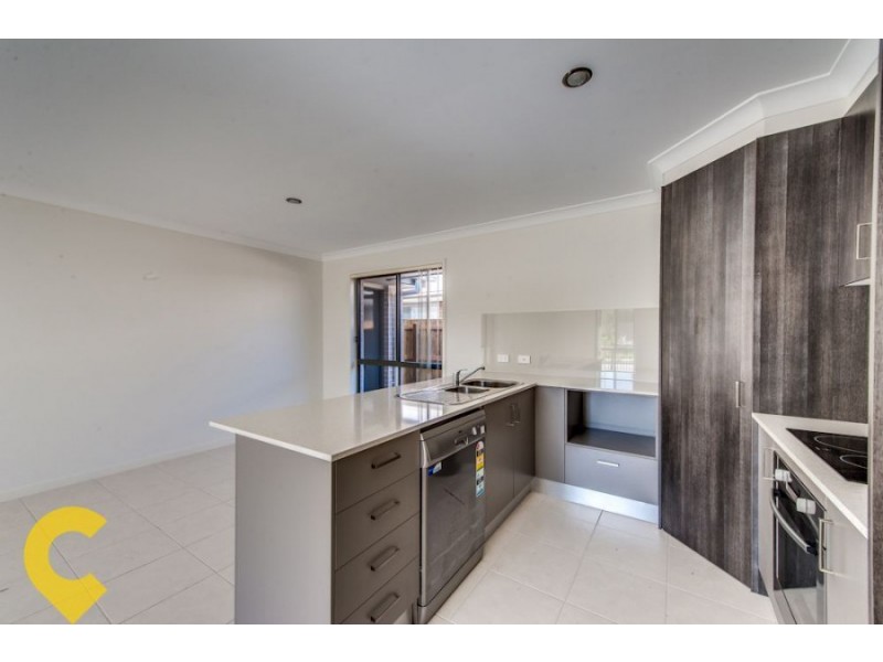 42 Walter Williams Crescent, Redbank Plains QLD 4301