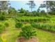 40 Islandview Street, Barellan Point QLD 4306
