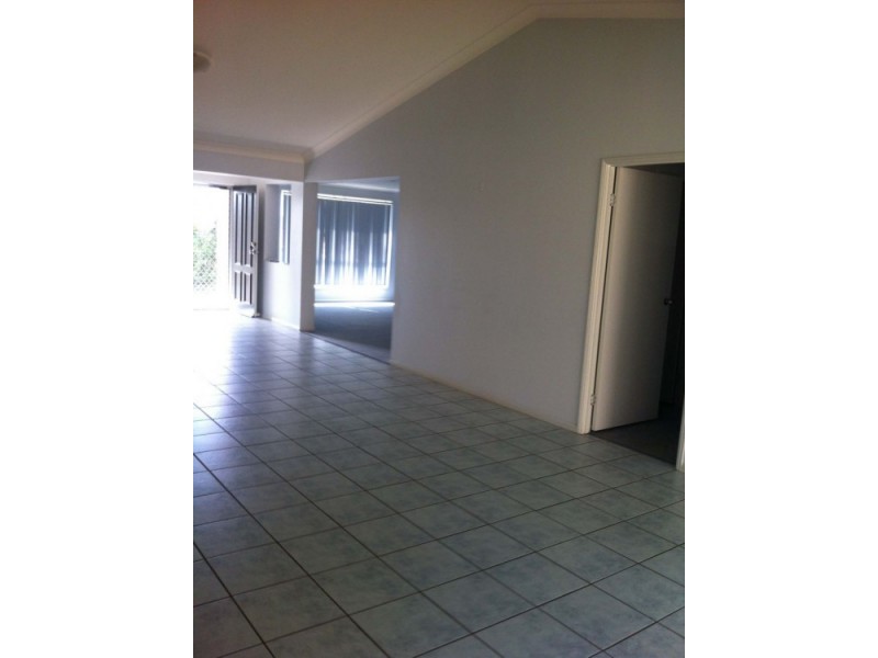 14 Dove Place, Springfield QLD 4300