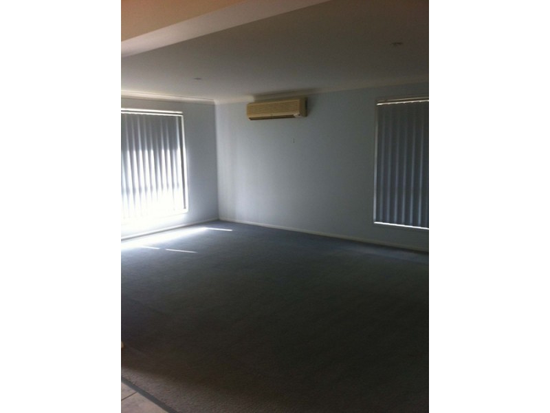 14 Dove Place, Springfield QLD 4300