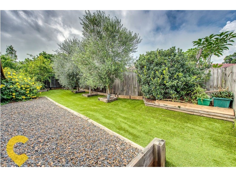 11 Colville Court, Springfield QLD 4300
