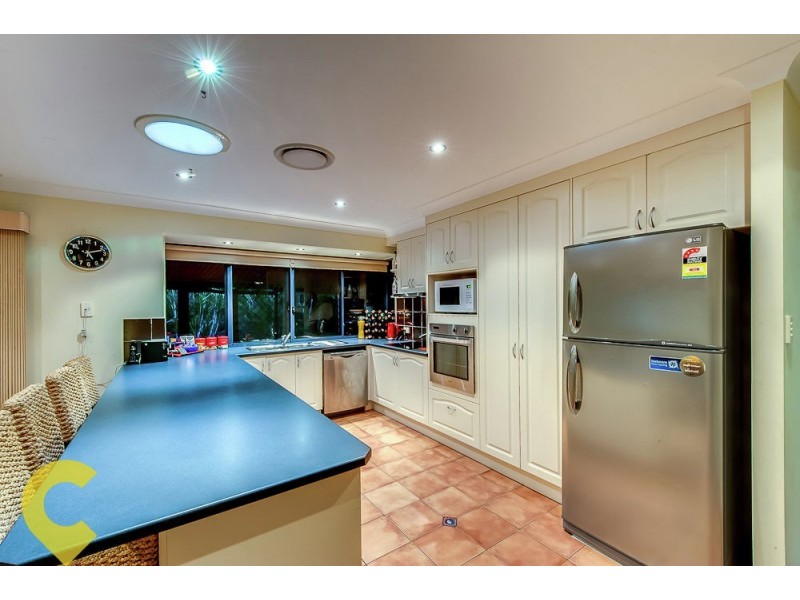 38 Jezabel Drive, Springfield Lakes QLD 4300