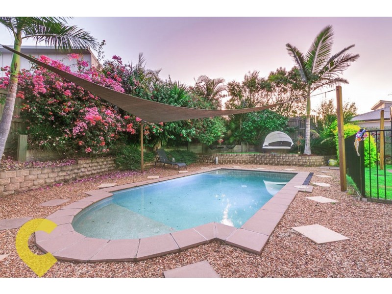 55 Creekside Drive, Springfield Lakes QLD 4300