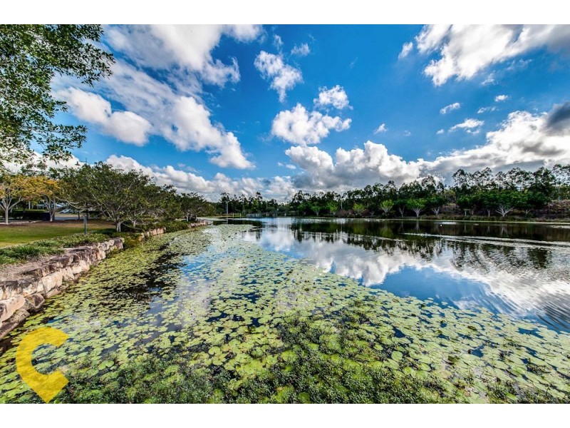 3 Aspect Terrace, Springfield Lakes QLD 4300