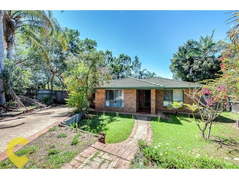 7 Foxglove Court, Springfield QLD 4300