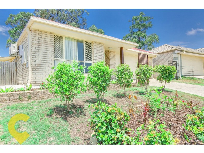 55 Tone Drive, Collingwood Park QLD 4301